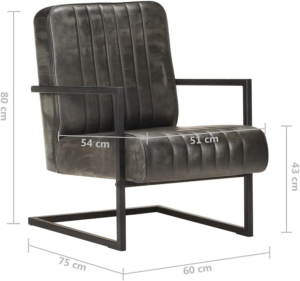 Bussandri Exclusive - Freischwinger Sessel Distressed Grau Echtleder