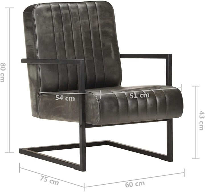 Bussandri Exclusive - Freischwinger Sessel Distressed Grau Echtleder