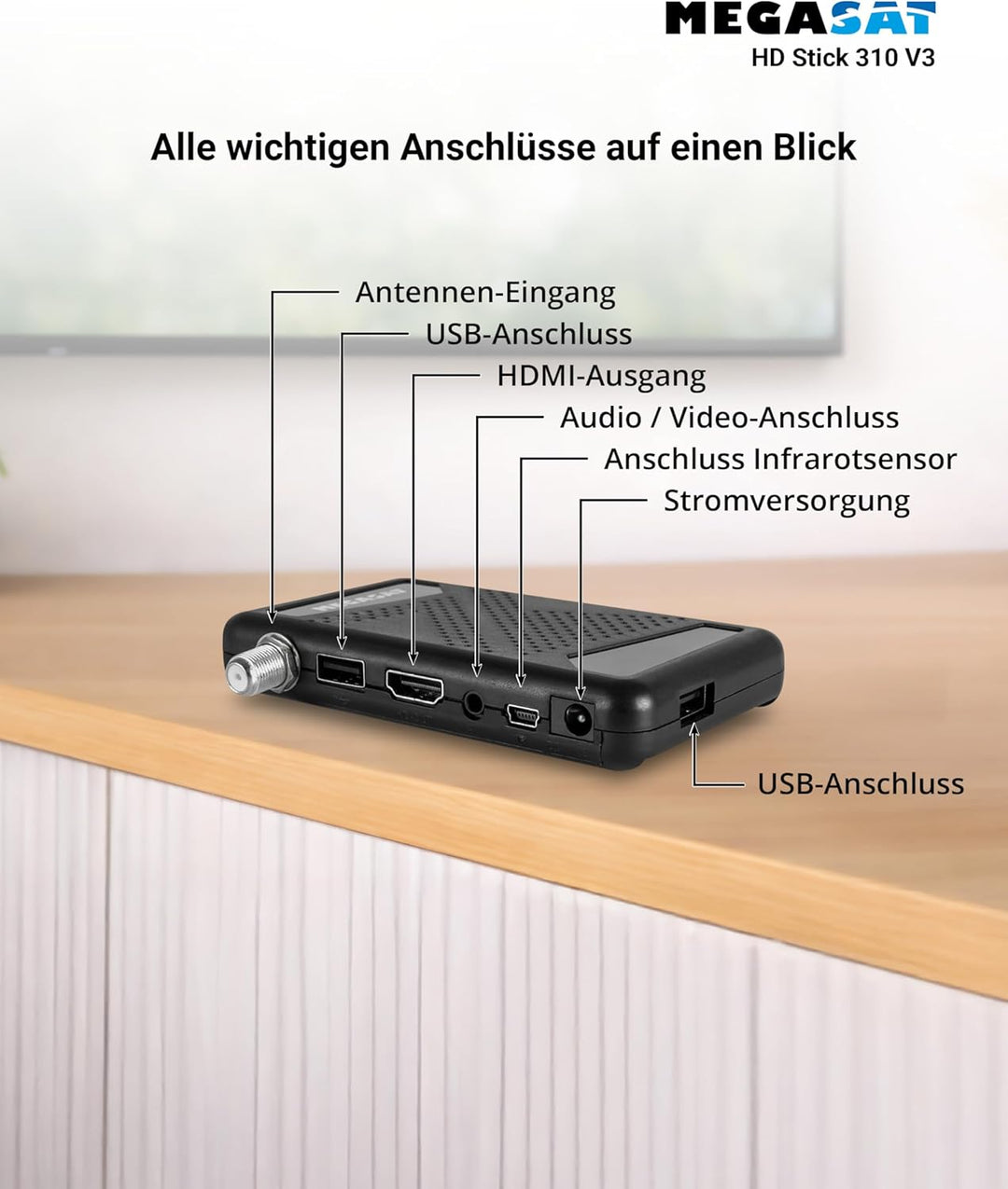 HD Stick 310 V3, schwarz