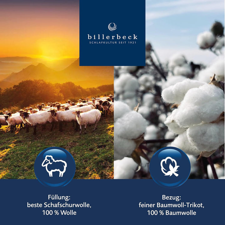 Billerbeck 7200270001 Auflagen 740 Multilind, circa 090 x 190 cm 90 x 190 cm Natur, 90 x 190 cm Natu