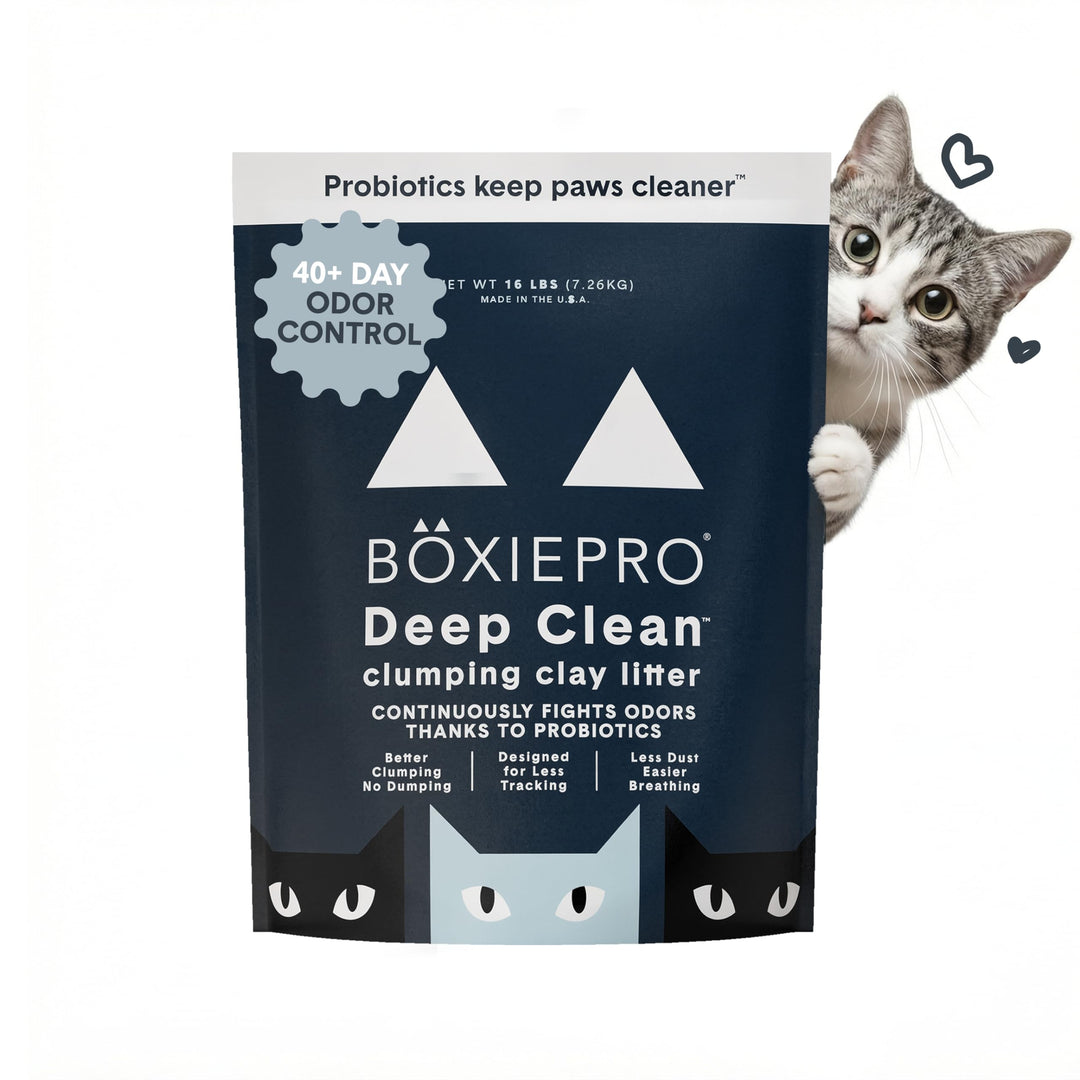 BoxiePro Tiefenreinigung, parfümfrei, probiotische Klumpstreu – Tonformel – Cleaner Home – Ultra Cle