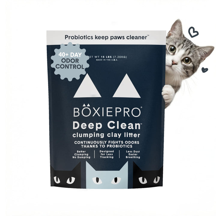 BoxiePro Tiefenreinigung, parfümfrei, probiotische Klumpstreu – Tonformel – Cleaner Home – Ultra Cle