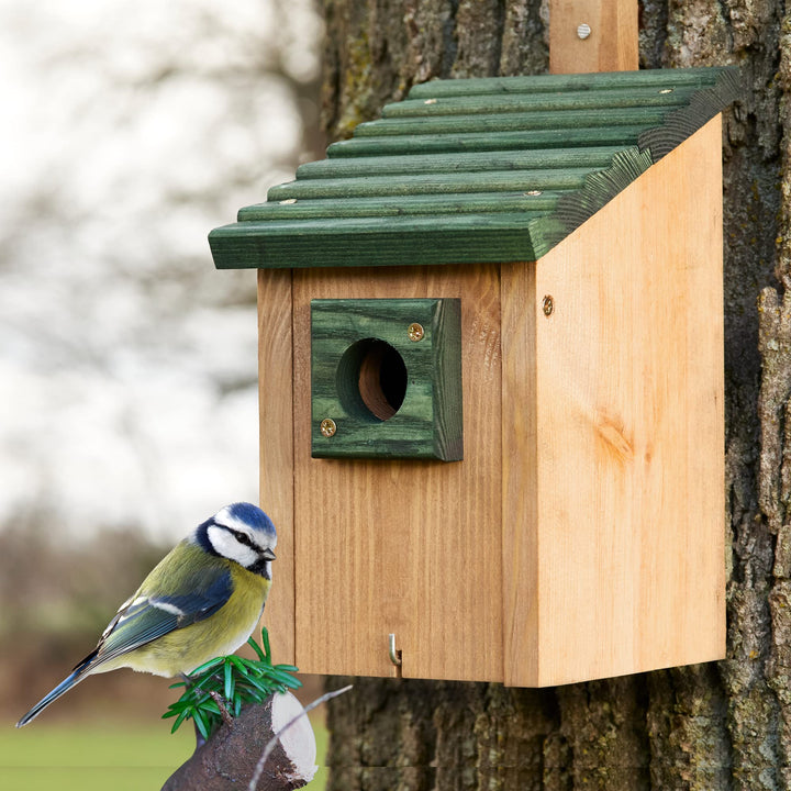 Zooprinz Nistkasten für Wildvögel – Massiv- Holz Vogelhäuschen mit sicherem Schutz gegen Nesträuber