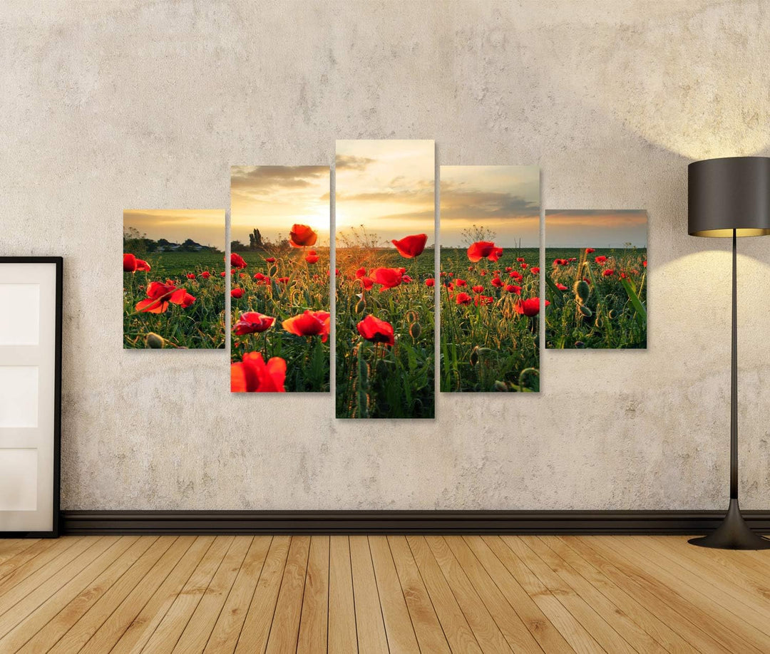 islandburner Bild auf Leinwand Mohnblumen Feldblume Auf Sonnenuntergang Wandbild Poster Kunstdruck B