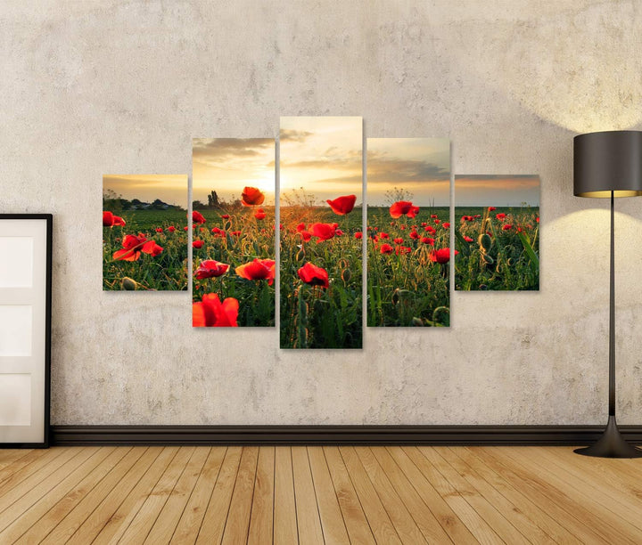 islandburner Bild auf Leinwand Mohnblumen Feldblume Auf Sonnenuntergang Wandbild Poster Kunstdruck B