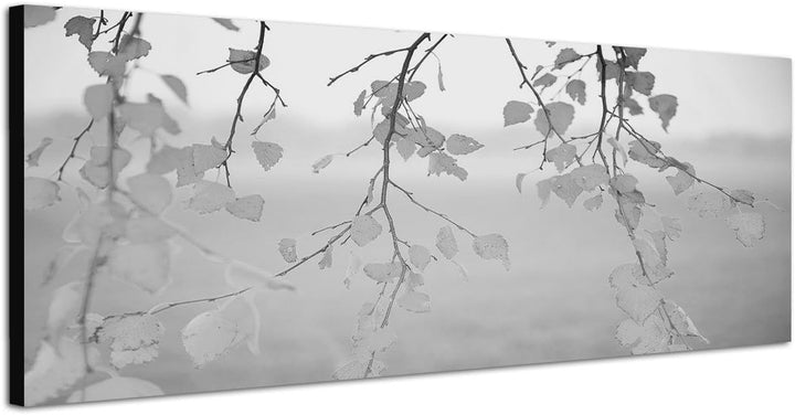 Paul Sinus Art Leinwandfoto als Panorama SCHWARZ/Weiss 120x40cm Blätter Äste Herbst