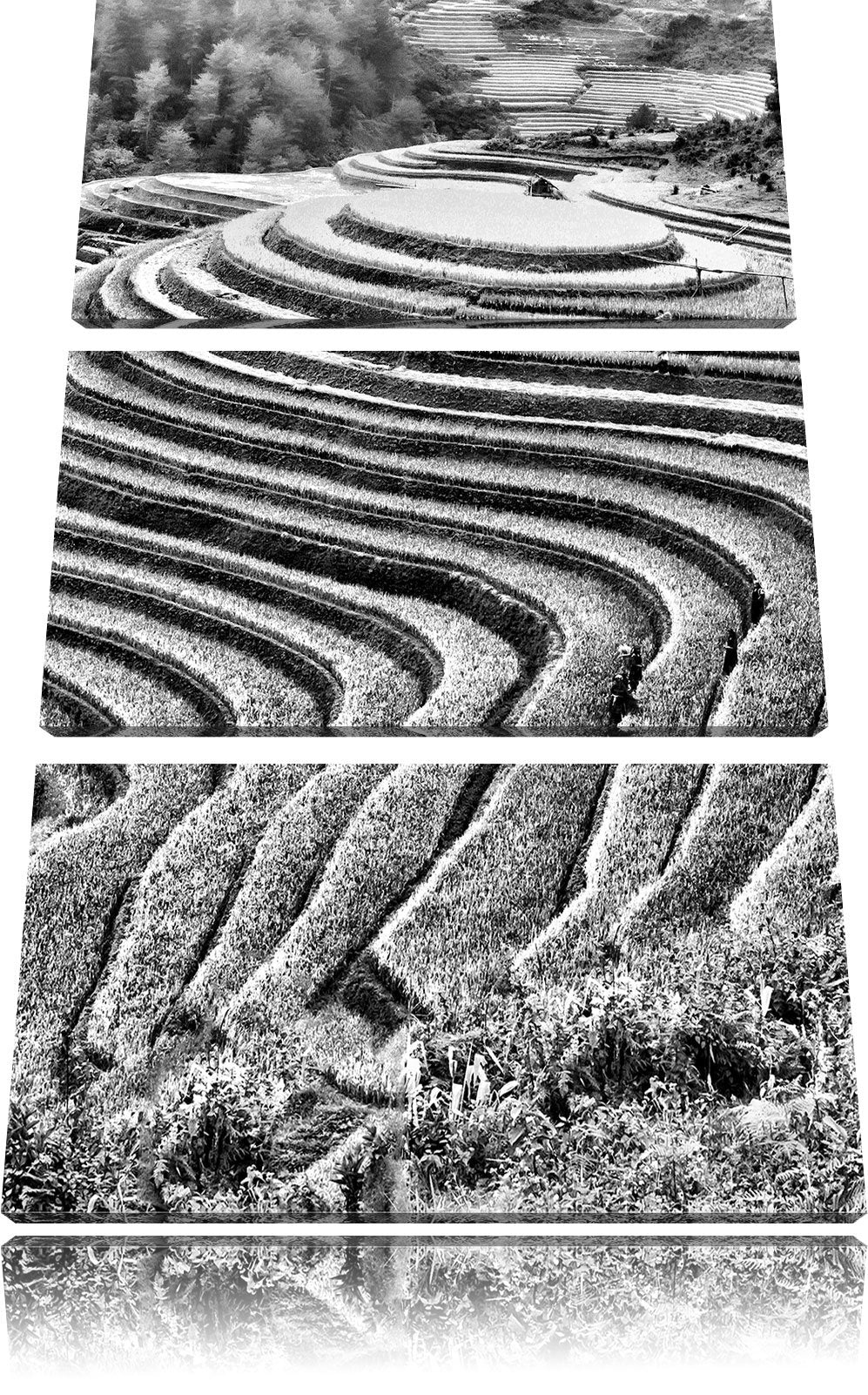 Pixxprint Monocrome, Chinesische Reisplantagen Treppenfelder 3-Teiler Leinwandbild 120x80 Bild auf L