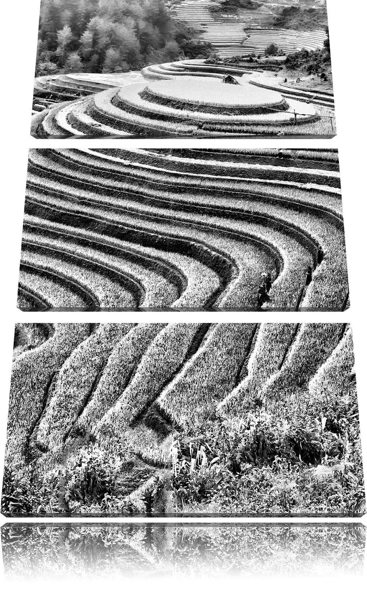 Pixxprint Monocrome, Chinesische Reisplantagen Treppenfelder 3-Teiler Leinwandbild 120x80 Bild auf L