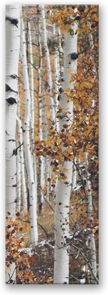 Feeby Wanddeko Birken Bild Kunstdruck modern Wald Weiss 30x90 cm M14626 30x90 cm, M14626 30x90 cm