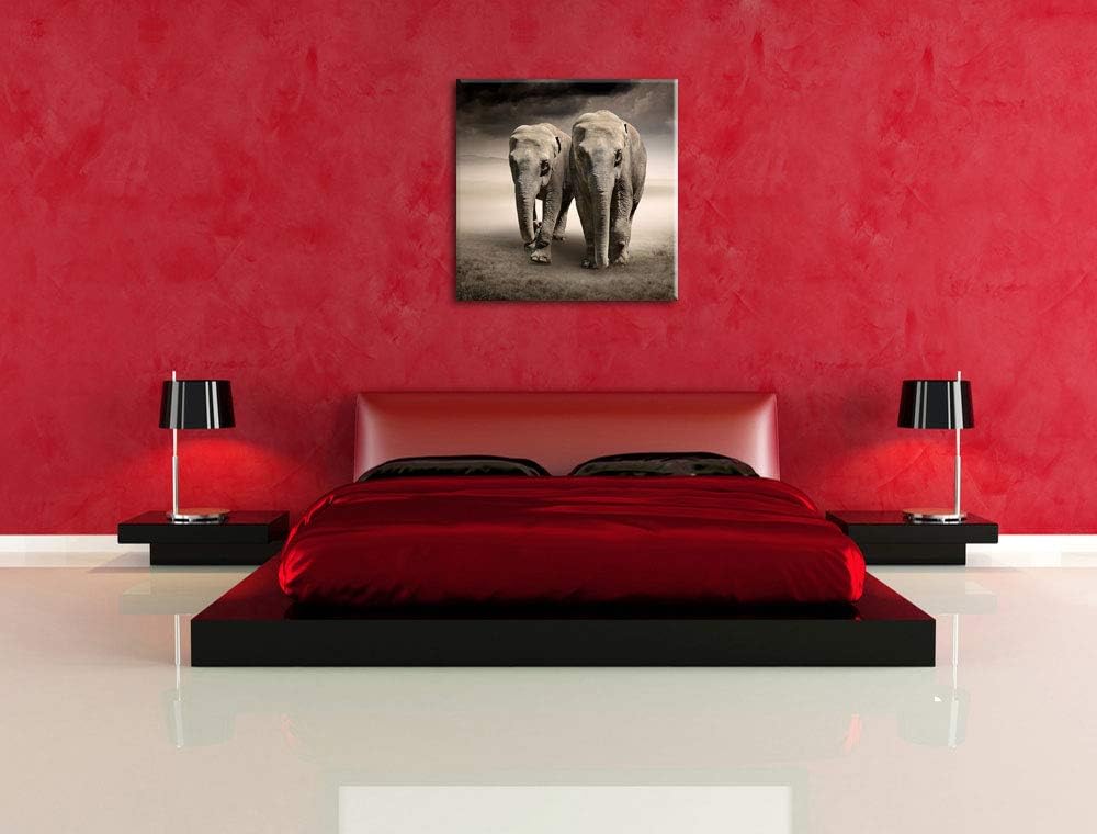 Pixxprint Zwei stolze Elefanten in Steppe als Leinwandbild/Grösse: 70x70 / Wandbild/Kunstdruck/ferti