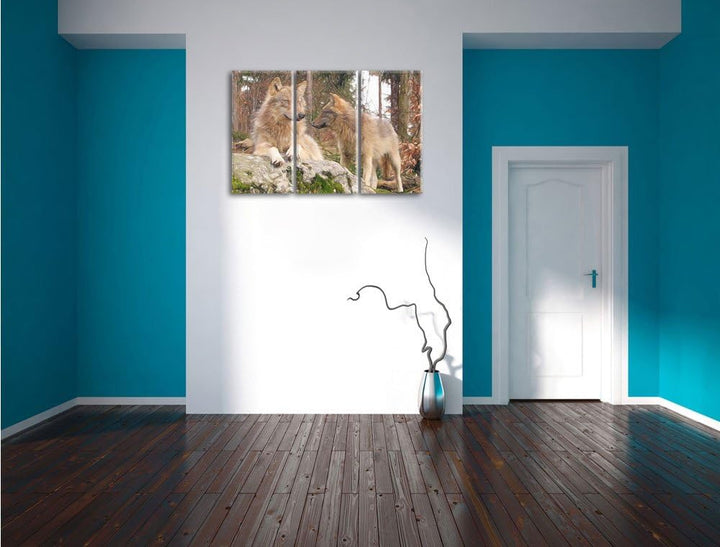 Pixxprint Wölfe im Wald als Leinwandbild/Grösse: 3 Teilig (120x80) / Wandbild/Kunstdruck/fertig besp