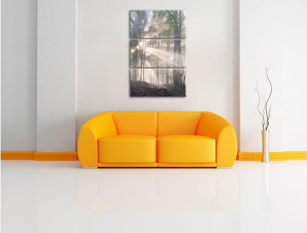 Pixxprint diesiger Waldweg als Leinwandbild/Grösse: 3 Teilig (120x80) cm/Wandbild/Kunstdruck/fertig