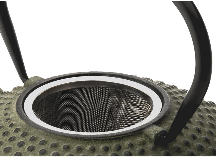 kleine grüne Asia Teekanne Gusseisen Set 0.8 Liter Teekessel mit Henkel &amp; Edelstahl Tee-Filter-Sieb-