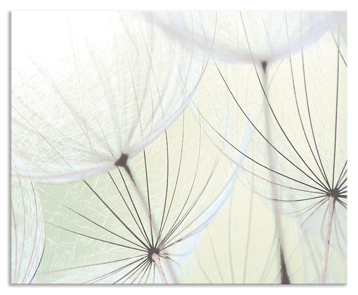 ARTland Spritzschutz Küche aus Alu für Herd Spüle 80x65 cm (BxH) Küchenrückwand mit Motiv Blume Pust