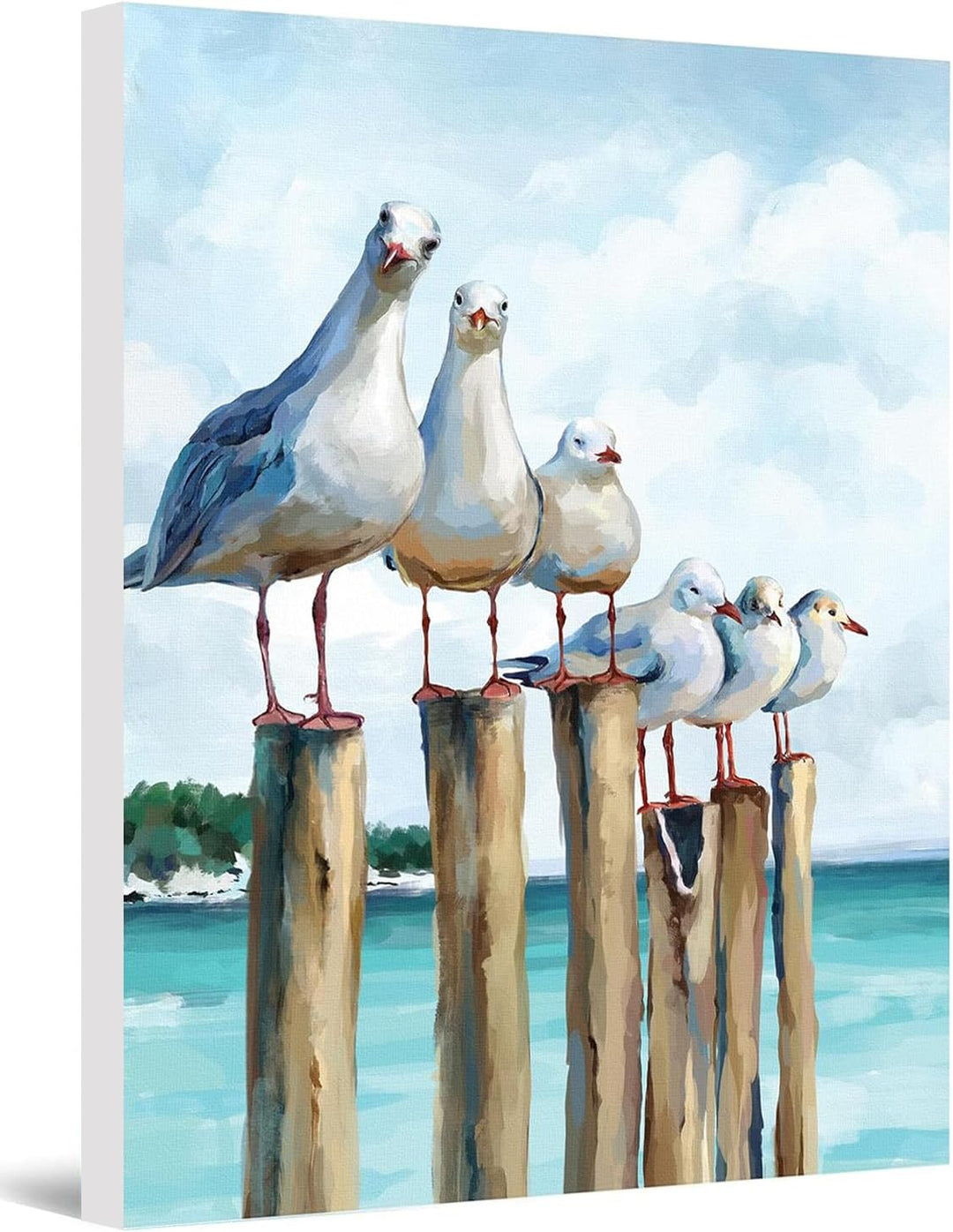 Malen Nach Zahlen möwe mit Rahmen, Malen Nach Zahlen Erwachsene Anfänger, Paint by Numbers Knitterfr