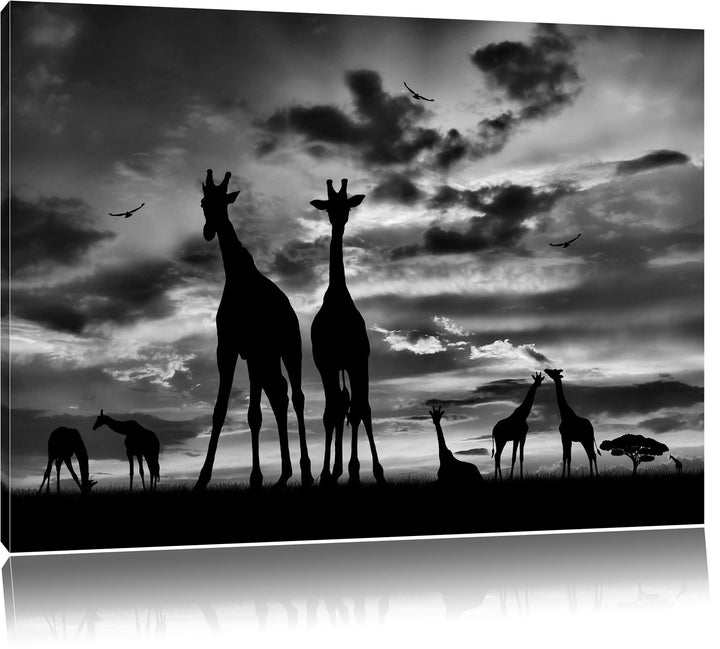 Pixxprint Afrika Giraffen im Sonnenuntergang / 100x70cm Leinwandbild bespannt auf Holzrahmen/Wandbil