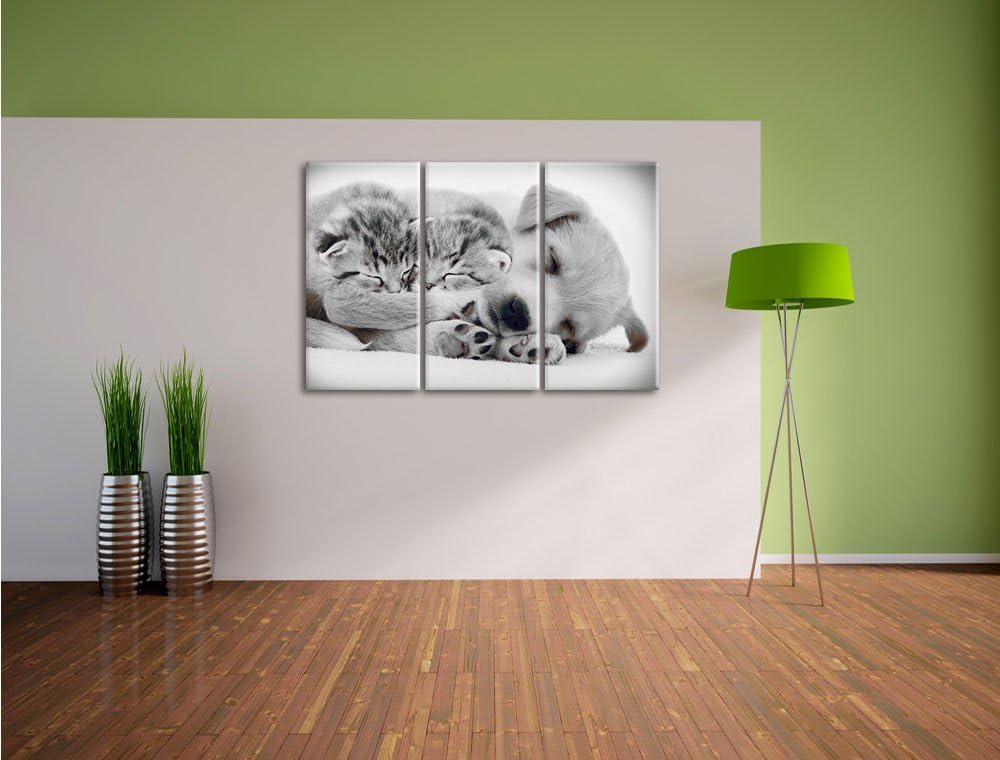 Pixxprint Hundewelpe mit kleinen Kätzchen als Leinwandbild/Grösse: 3 Teilig (120x80) cm/Wandbild/Kun