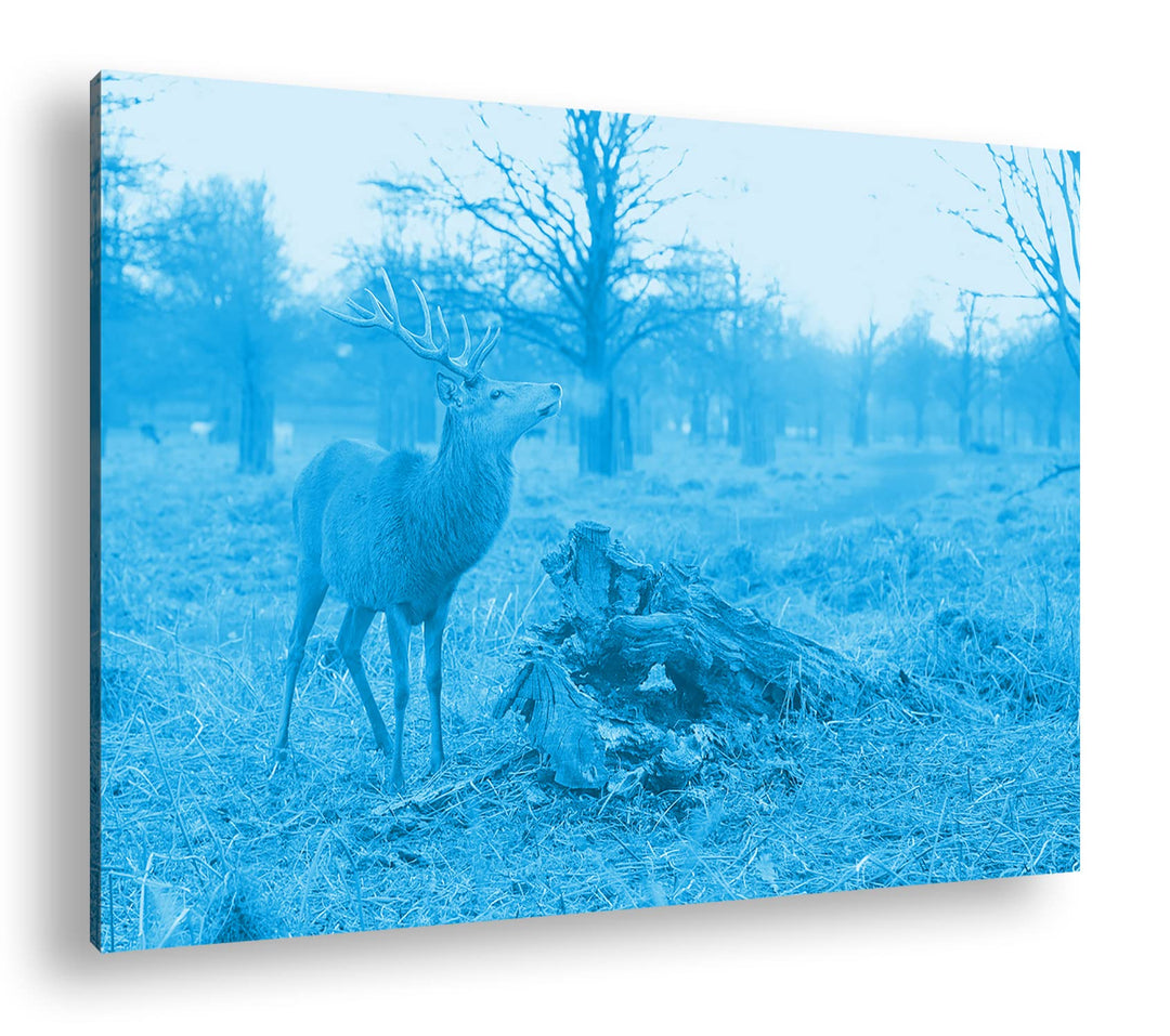 deyoli Majestätischer Hirsch Format 80x60 Effekt: Monocrome Blau als Leinwandbild, Motiv fertig gera