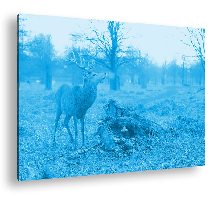 deyoli Majestätischer Hirsch Format 80x60 Effekt: Monocrome Blau als Leinwandbild, Motiv fertig gera