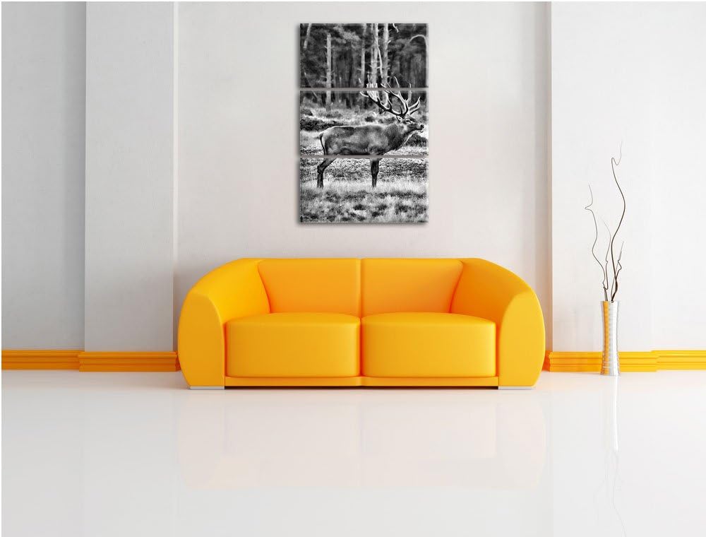Pixxprint Monocrome, Hirschfamilie auf herbstlicher Waldlichtung 3-Teiler Leinwandbild 120x80 Bild a