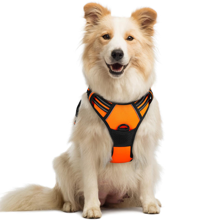 rabbitgoo Hundegeschirr Mittelgrosse Hunde Anti Zug Geschirr Hund mit Kontrolle No Pull Verstellbar