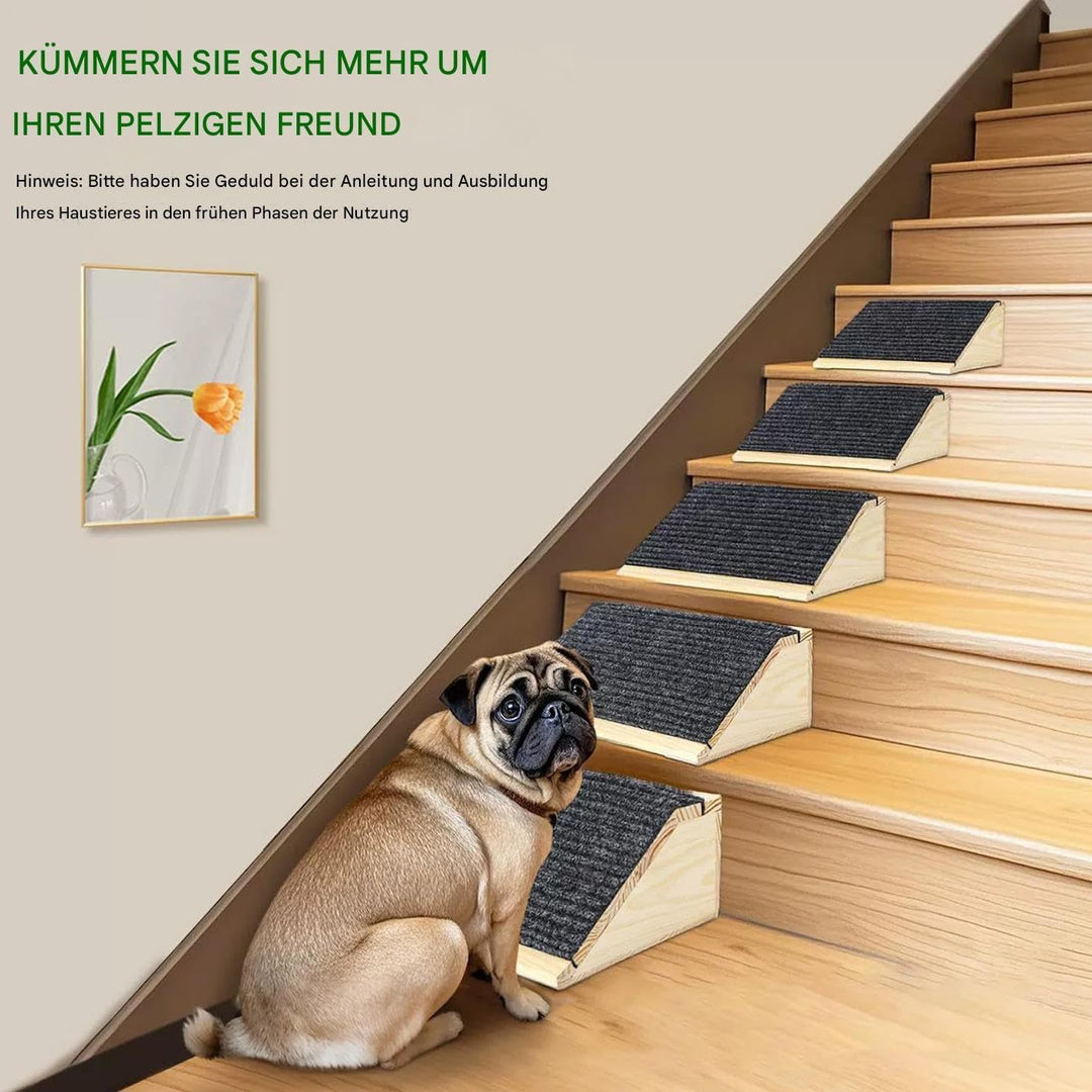 Hund Rampe - Hundetreppe Für Bett - Tragbare Rampe Für Ältere Und Verletzte Tiere, Katzen, Schonende