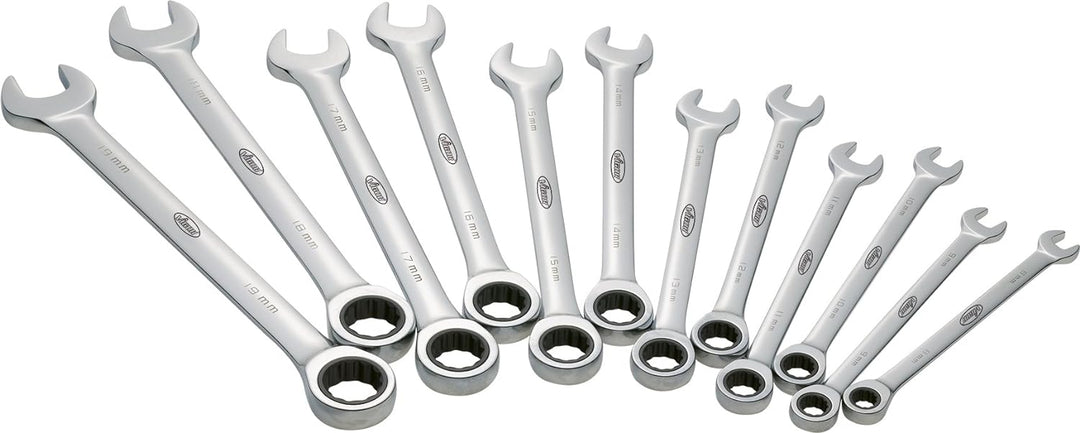 Vigor Ratschen-Ring-Maul-Schlüssel-Satz, 12-teilig, V1031