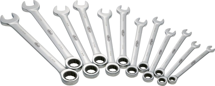 Vigor Ratschen-Ring-Maul-Schlüssel-Satz, 12-teilig, V1031