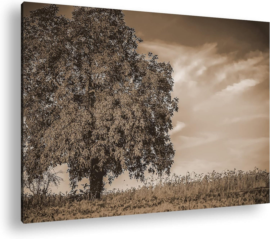 deyoli Herbstliche Landschaft Format: 80x60 als Leinwand, Effekt: Sepia, Motiv fertig gerahmt auf Ec