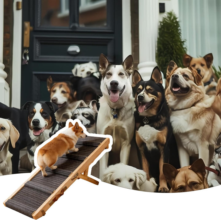 Hunderampe aus Holz, Hundetreppe 4 Stufen Verstellbar 23cm bis 46cm, verstellbare Rampe Hund für Sof