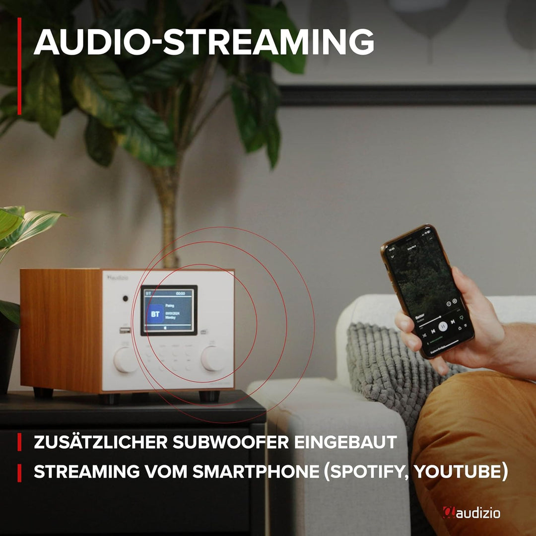 Audizio Vieste - DAB Radio mit Bluetooth, Digitalradio, 60 Watt Lautsprecher, DAB Plus Radio mit USB