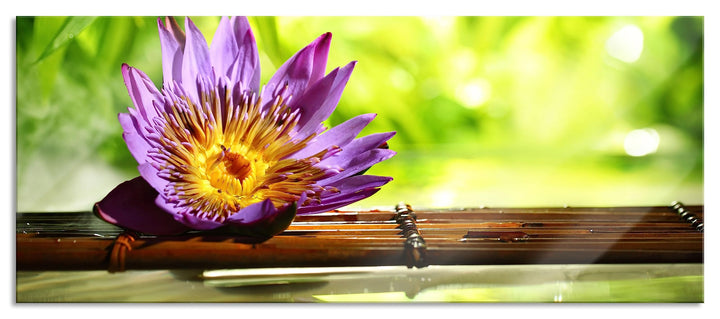 Glasbild Panorama | Wandbild aus Echtglas | Seerose auf Bambus Wellness | 100x40 cm | inkl. Aufhängu