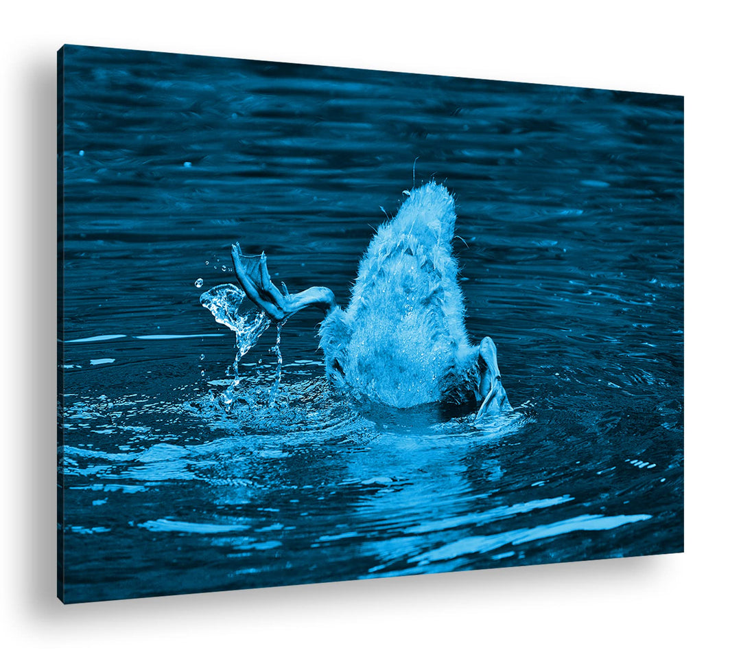 deyoli kleine Ente tauscht nach Fischen Format 80x60 Effekt: Monocrome Blau als Leinwandbild, Motiv