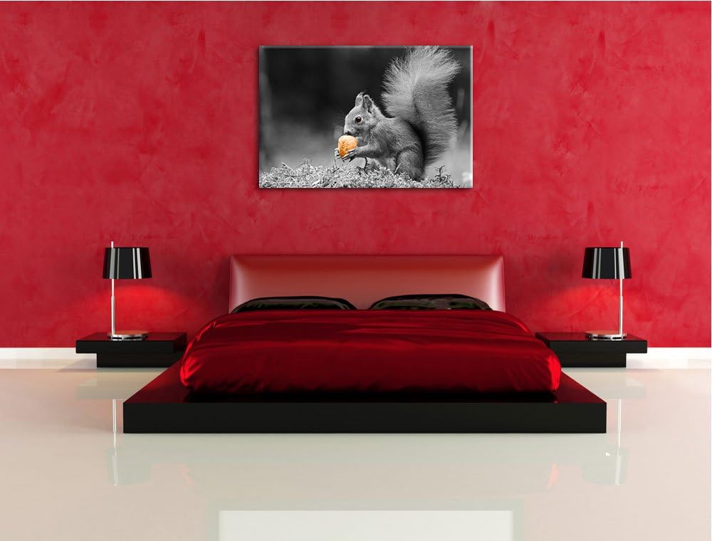 niedliches Eichhörnchen mit Nuss schwarz/weiss Format: 100x70 auf Leinwand, XXL riesige Bilder ferti