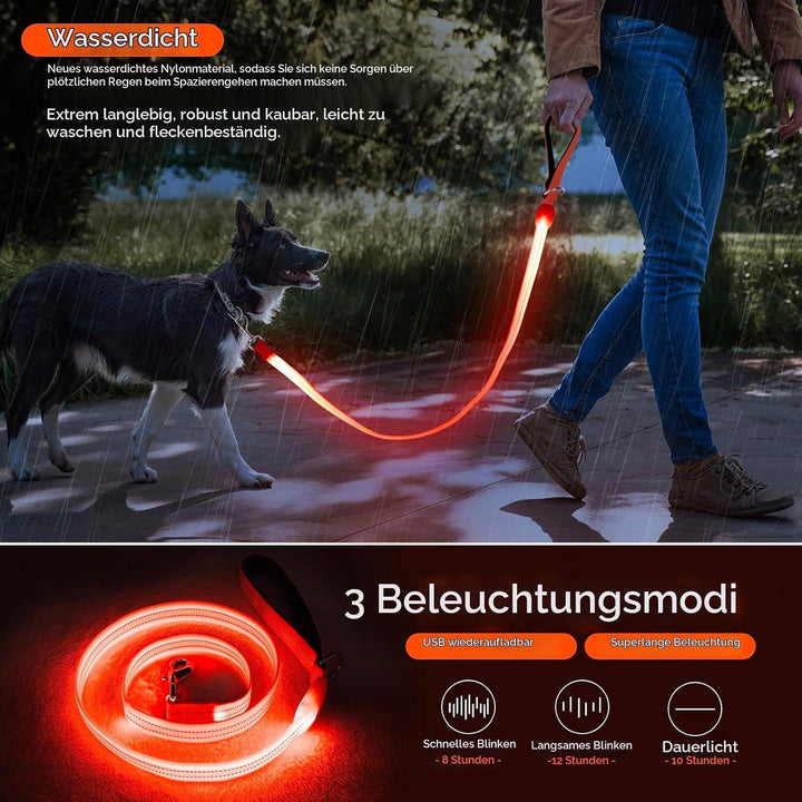 ChalkLit LED Hundeleine, Beleuchtete Hundeleine über USB Wiederaufladbar, 1,2 m, Weich Wasserdicht R