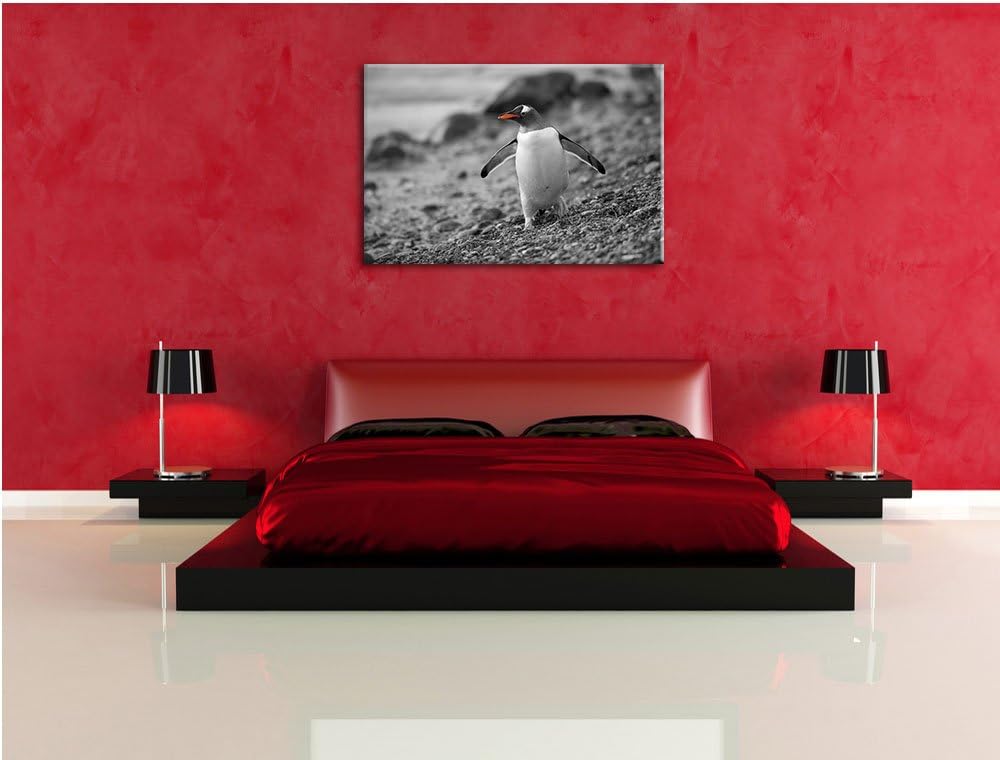 süsser Pinguin am Steinstrand schwarz/weiss Format: 100x70 auf Leinwand, XXL riesige Bilder fertig g