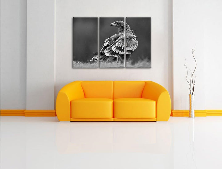 Pixxprint Falke mit Gefieder als Leinwandbild/Grösse: 3 Teilig (120x80) cm/Wandbild/Kunstdruck/ferti
