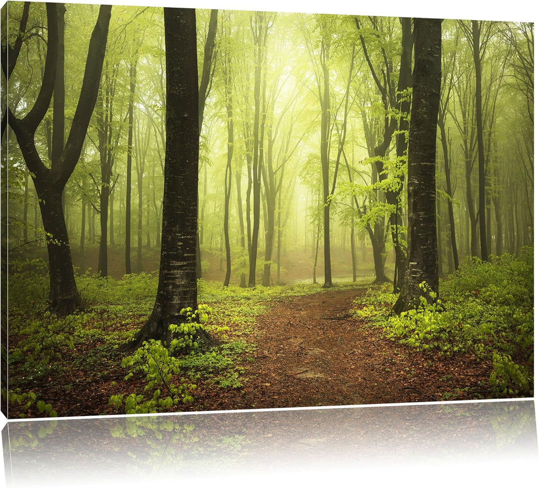 Pixxprint Sonniger Weg im atemberaubenden Wald, Format: 100x70 auf Leinwand, riesige Bilder fertig g