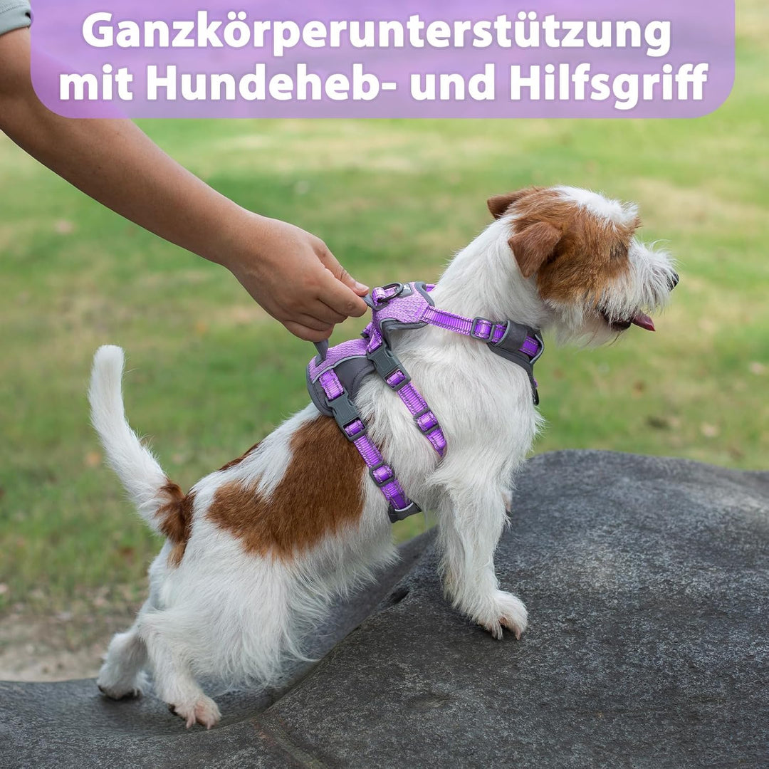 Huntboo Sicherheitsgeschirr Hund Ausbruchsicher, Panikgeschirr für Hunde, Reflektierendes Geschirr H