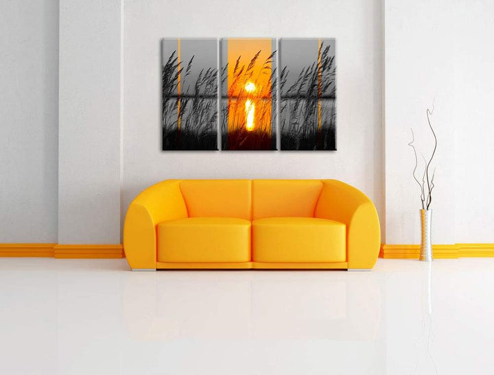 Pixxprint Gräser bei Sonnenuntergang als Leinwandbild | Grösse: 3 Teilig (120x80) | Wandbild| Kunstd