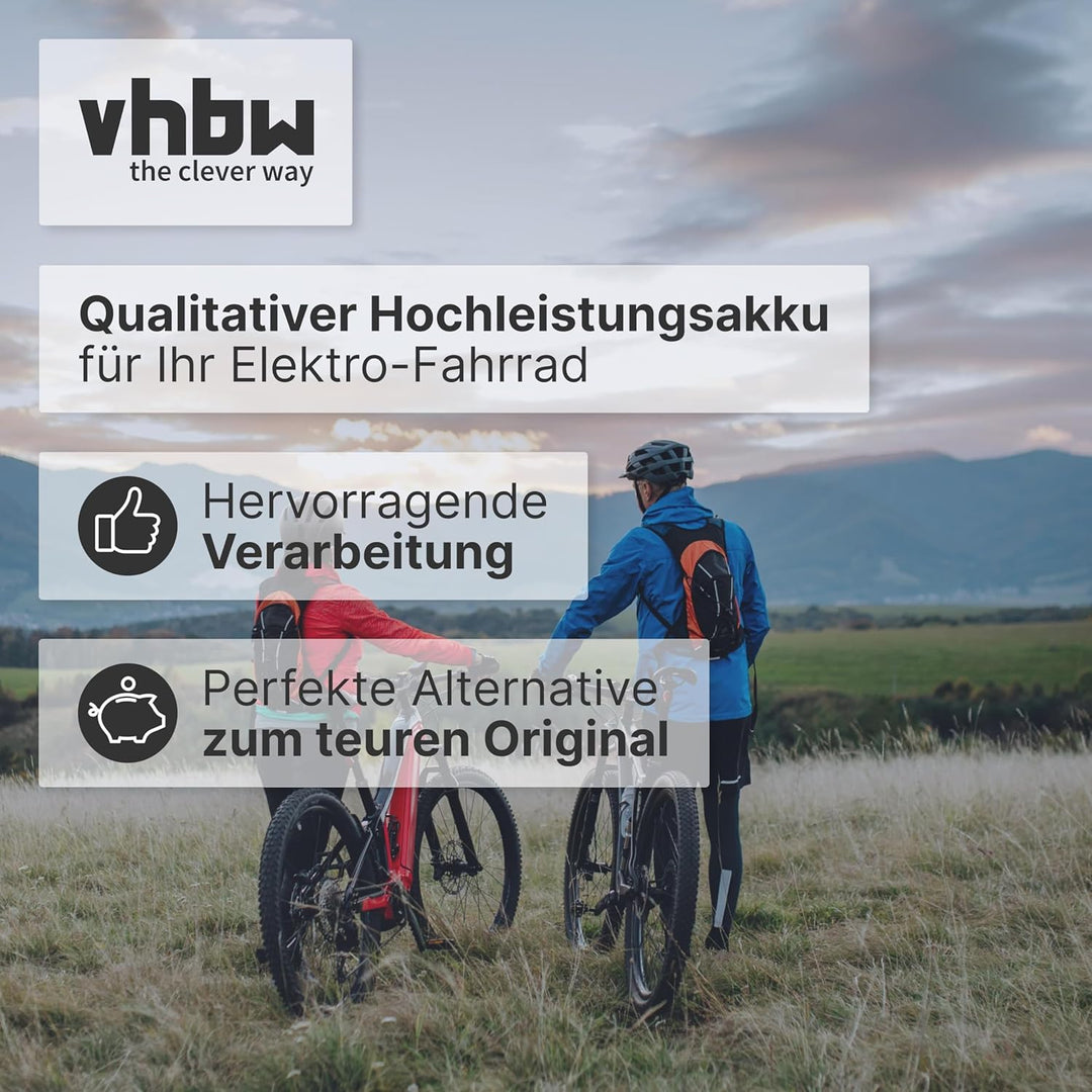 vhbw Akku kompatibel mit Panasonic Flyer L11 HS, L14 HS, L6, C9, L10 HS, L4, C8 HS, L2, L5 E-Bike El