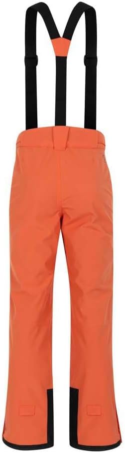 Dare 2b Herren Salopette De Ski Imperméable Achieve Ii Bottoms