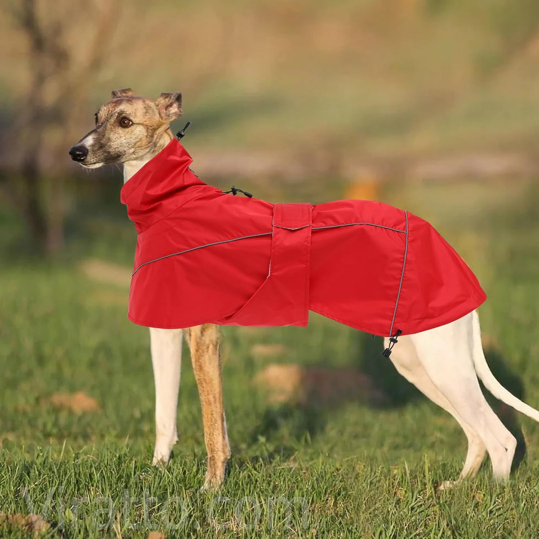 MOREZI Windhund-Regenmantel, regenfest/wasserdicht, hoher Bund mit verstellbarem Kordelzug und Hüftg