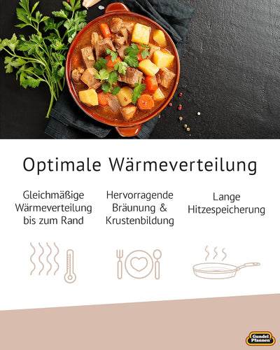 Original Gundel GUSS-BRATEN-TOPF INDUKTION, Ø 28 cm, Höhe 10,5 cm, Bräter mit BIOTAN-Oberfläche, bac