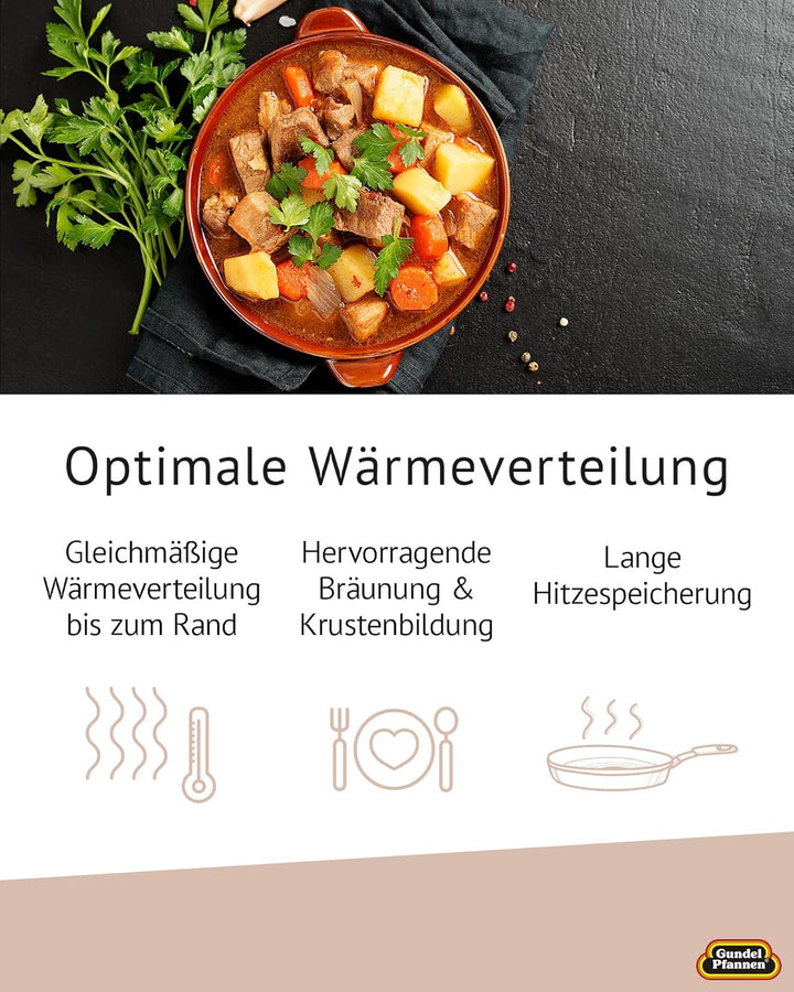 Original Gundel GUSS-BRATEN-TOPF, Ø 28 cm, Höhe 10,5 cm, BIOTAN-Oberfläche, backofenfeste Griffe für