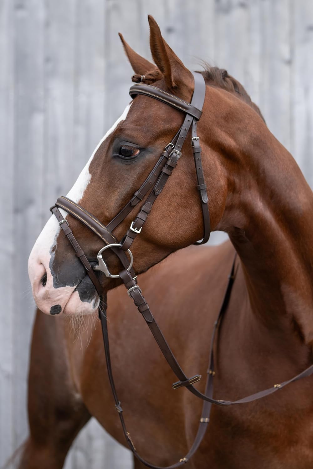 HKM Trensenzaum Lou braun Pony braun S, braun S