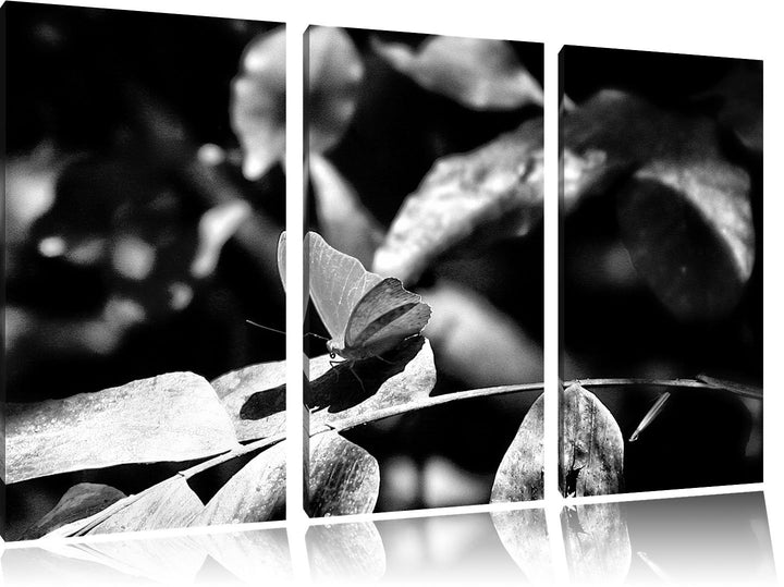 Pixxprint schöner Schmetterling sonnt Sich als Leinwandbild/Grösse: 3 Teilig (120x80) cm/Wandbild/Ku