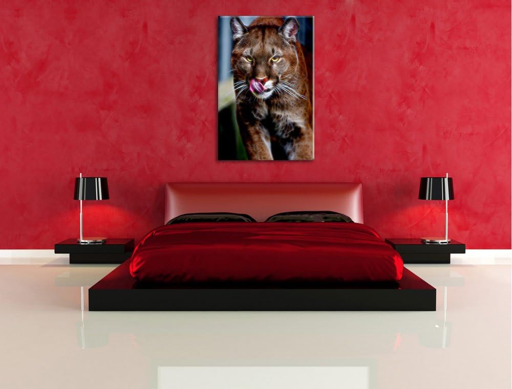 anmutiger Puma Deluxe Format: 100x70 cm auf Leinwand, XXL riesige Bilder fertig gerahmt mit Keilrahm