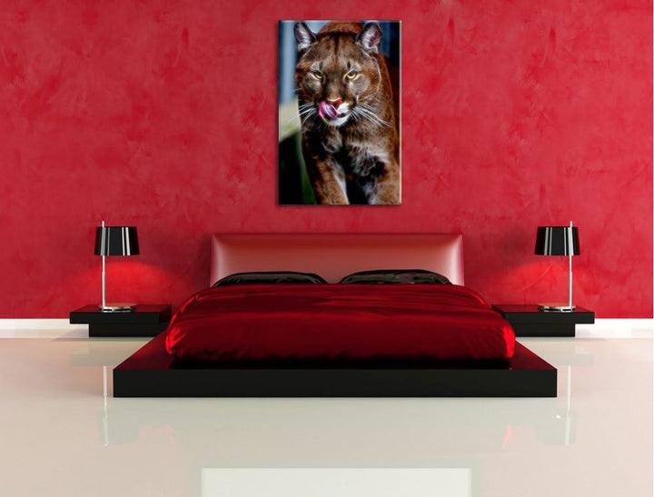 anmutiger Puma Deluxe Format: 100x70 cm auf Leinwand, XXL riesige Bilder fertig gerahmt mit Keilrahm