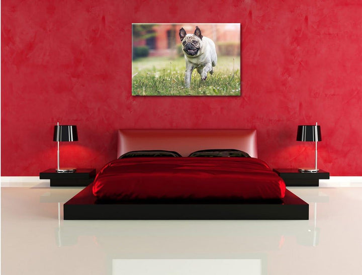 Pixxprint Rennender Mops, Format: 100x70 auf Leinwand, XXL riesige Bilder fertig gerahmt mit Keilrah